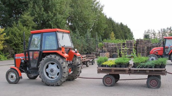 © Valérie Vidril Pour la préparation des commandes, les plantes sont installées sur des palettes en bois positionnées sur un chariot transporté jusqu'à la zone de chargement. Il suffit ensuite de récupérer la palette avec les fourches d'un engin de manutention. 