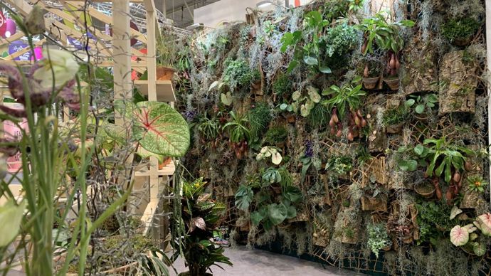 Côté tendance, on pouvait observer de nombreux murs végétaux… © LH