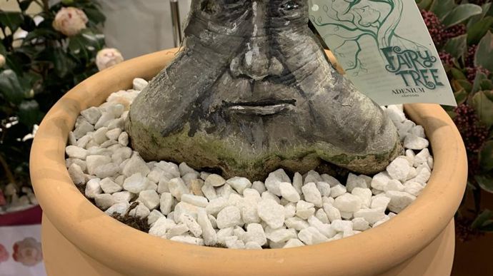 Et le grand gagnant du concours Show Your Colours : le Fairy Tree Concept. © LH