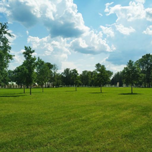 illustration de la newsletter