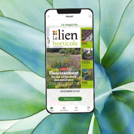 illustration de la newsletter