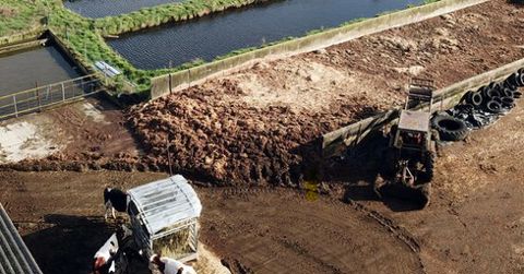 Ammoniac : comment réduire les émissions en élevage bovin ?