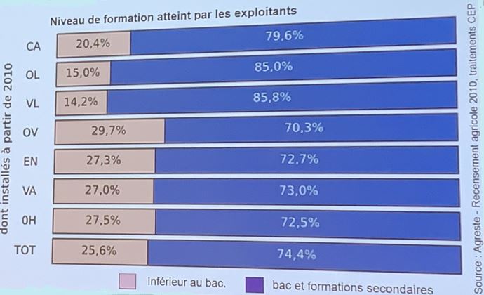 niveau de formation des jeunes installes en elevage ruminant