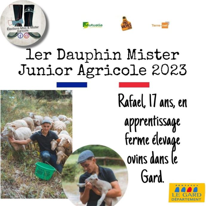 1er dauphin mister agri junior 2023