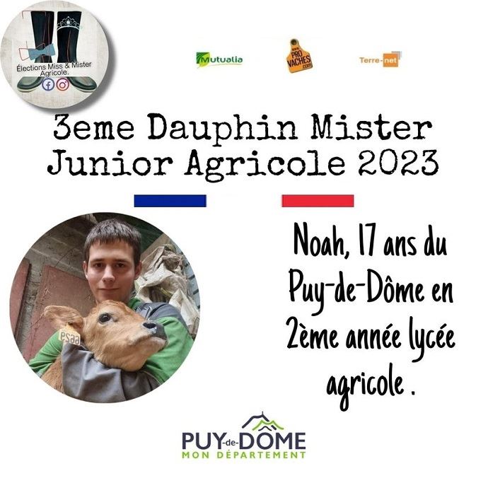 3e dauphin mister agri junior