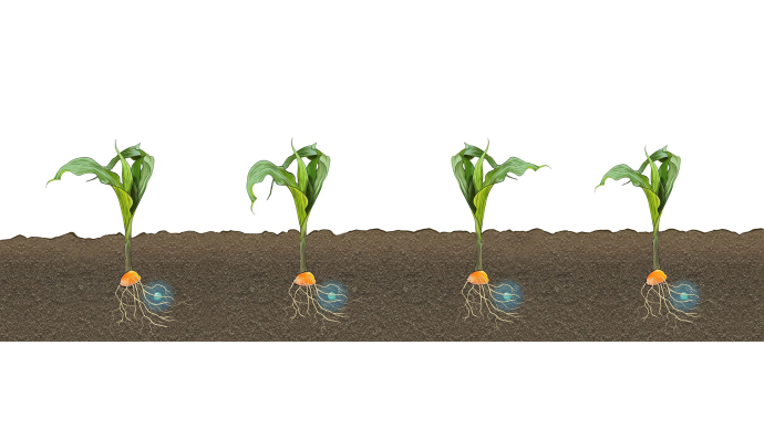 La précision est cruciale pour l’agriculteur qui souhaite cadrer son écartement entre rangs, son intervalle entre plantes et sa profondeur de semis! Faute d’être suffisante, des pertes de potentiel jusqu’à 7 % peuvent être enregistrées.