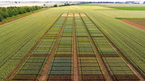 Les 125 hectares de culture de la plateforme sont conduits sans aucun produit phytosanitaire et cherchent à maximiser la biodiversité fonctionnelle pour favoriser de nombreuses fonctions écosystémiques.