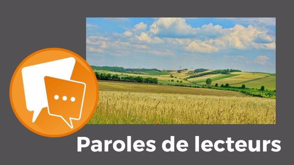 « D'ailleurs, à quel moment, passe-t-on de petit à gros ? N'est-on pas tous le petit du plus gros ! », fait observer The germs. 