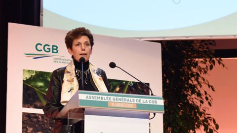 Isabelle Chmitelin, directrice de cabinet du ministre de l'agriculture.