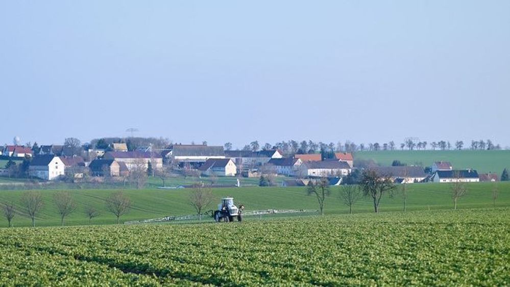  La Cour des Comptes constate que les effets des plans Écophyto demeurent très en deçà des objectifs fixés. 
