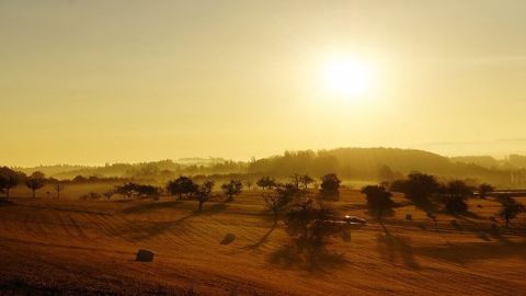 Les températures restent élevées pour la saison en France