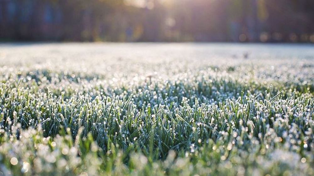 Peu de gelées au mois de janvier 2020. La température moyenne nationale s'établit à 7,2 degrés.