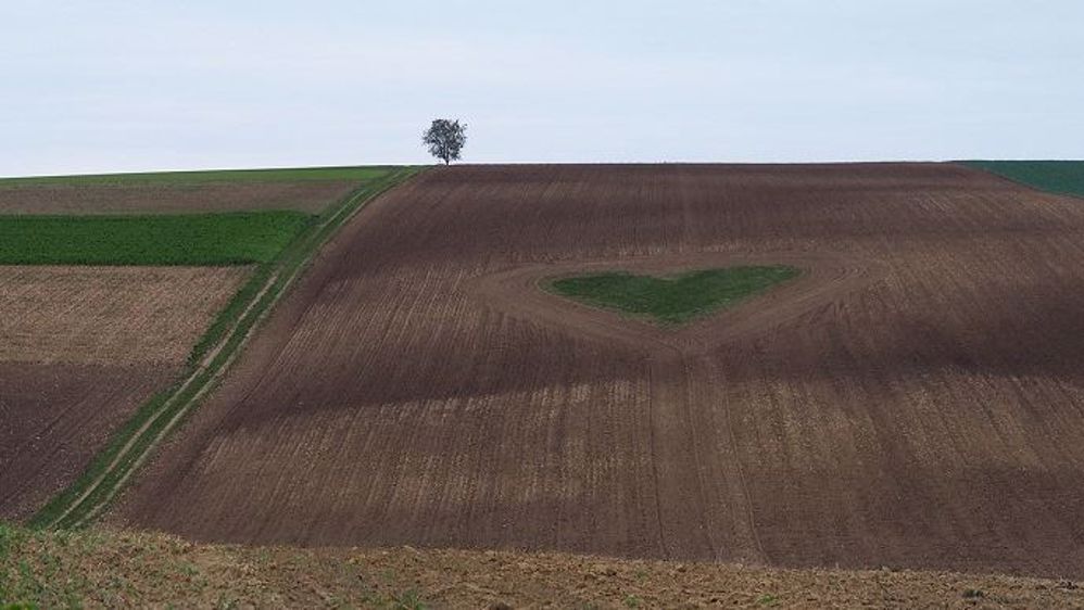 Et si la Saint-Valentin était aussi l'occasion de dire aux paysans qu'on les aime ?
