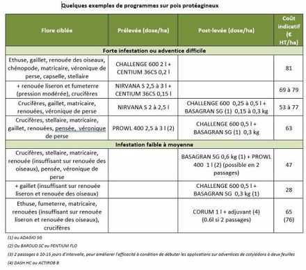 Exemples de programmes sur pois protéagineux