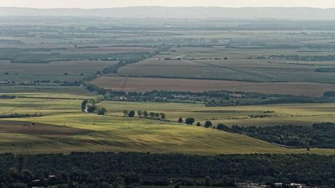 En France, 20 000 hectares d'espaces naturels sont artificialisés chaque année. 