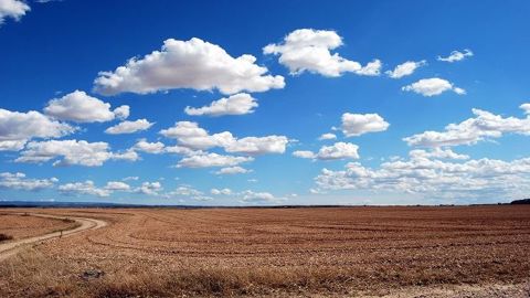 Les températures remontent en France, mais le climat reste sec. Les températures remontent en France, mais le climat reste sec.