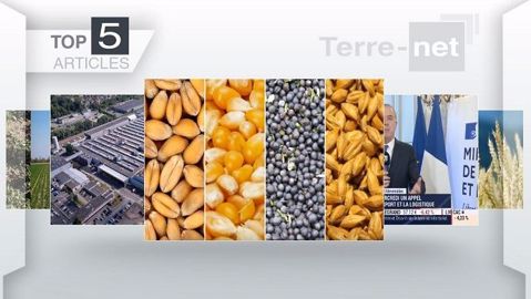Top articles de Terre-net cette semaine.