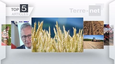 Top articles de Terre-net cette semaine.