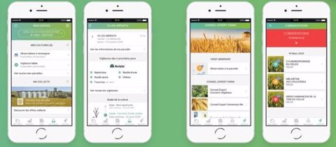 L'application Farmi est disponible sur les stores Apple et Android. L'application Farmi est disponible sur les stores Apple et Android.
