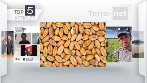 Top articles de Terre-net cette semaine.