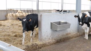 Les abreuvoirs easy stall de La Buvette sont en inox alimentaire pour garantir la qualité de l'eau. Les abreuvoirs easy stall de La Buvette sont en inox alimentaire pour garantir la qualité de l'eau.