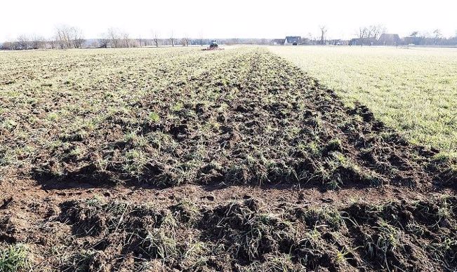 Travail de scalpage à plat du Finer SL