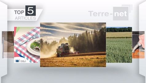 Top articles de Terre-net cette semaine.