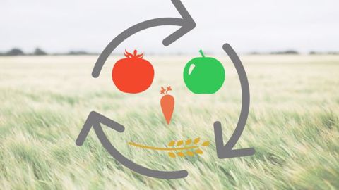 À la faveur de la crise, beaucoup d'organisations ont proposé leur vision de l'avenir agricole après le Covid-19. À la faveur de la crise, beaucoup d'organisations ont proposé leur vision de l'avenir agricole après le Covid-19.