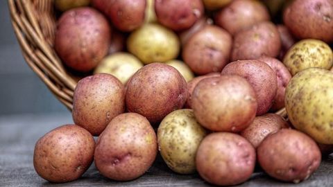 En moyenne sur avril-mai, le prix du kilo de pommes de terre en GMS s’est élevé à 1,14 €/kg : en baisse de 11 % comparé à 2019.