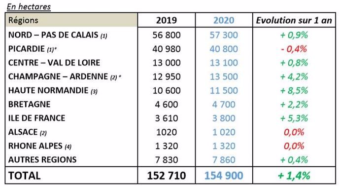Emblavements pommes de terre de conservation 2020